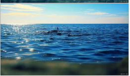 海边风景视频,海岸线上的视觉盛宴