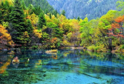 九寨沟视频,自然奇观与人间仙境的完美融合