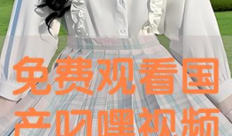 免费叼嘿视频,揭秘热门短视频平台的魅力与挑战