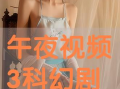午夜视频播放,揭秘热门视频播放背后的故事