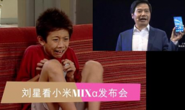 日日日视频,揭秘日常生活背后的趣味与智慧