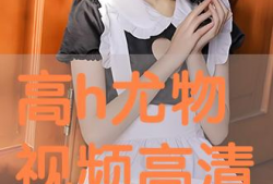 h视频在线,揭秘热门在线视频平台的魅力与特色