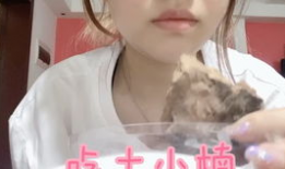 吃土视频,揭秘当代年轻人的经济压力与生活态度