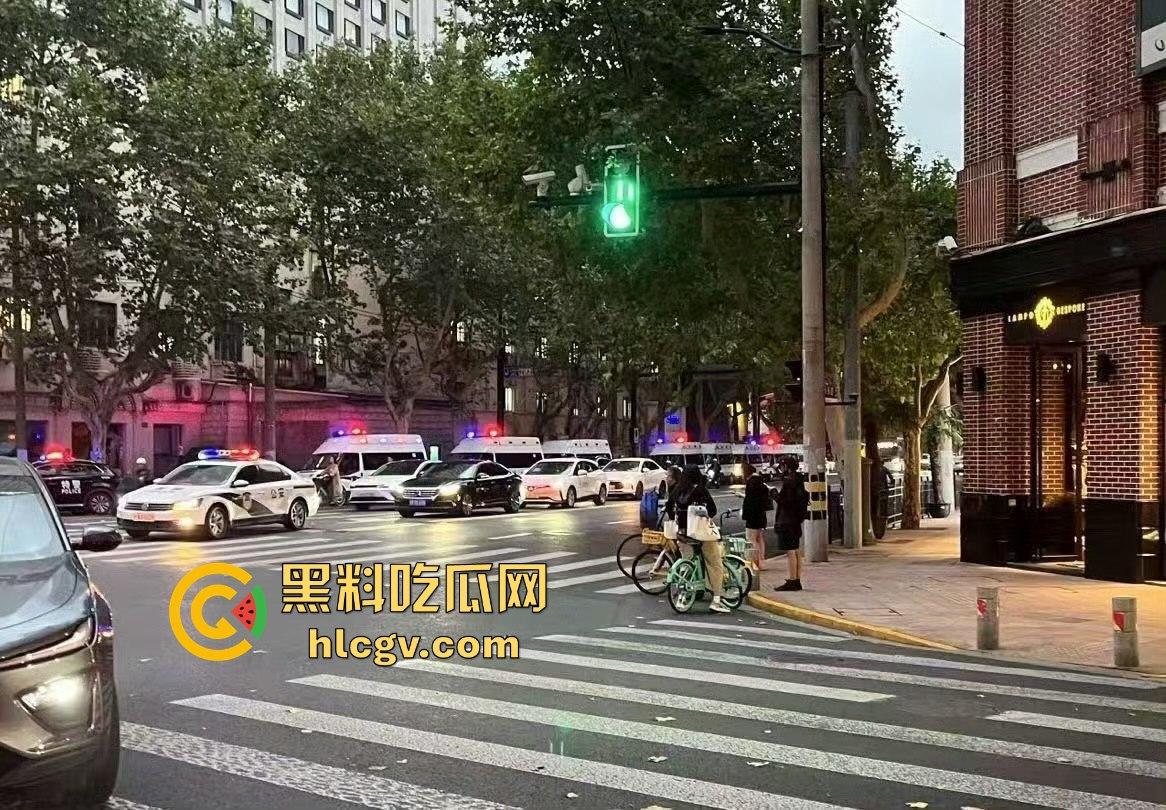 上海中山公园coser夜晚集体发疯，唱歌玩得嗨被带走！场面混乱如甄嬛传翻拍！-14